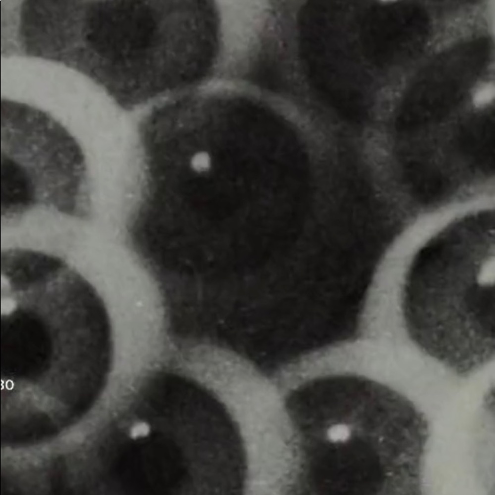 Meet your Posher, Stefano